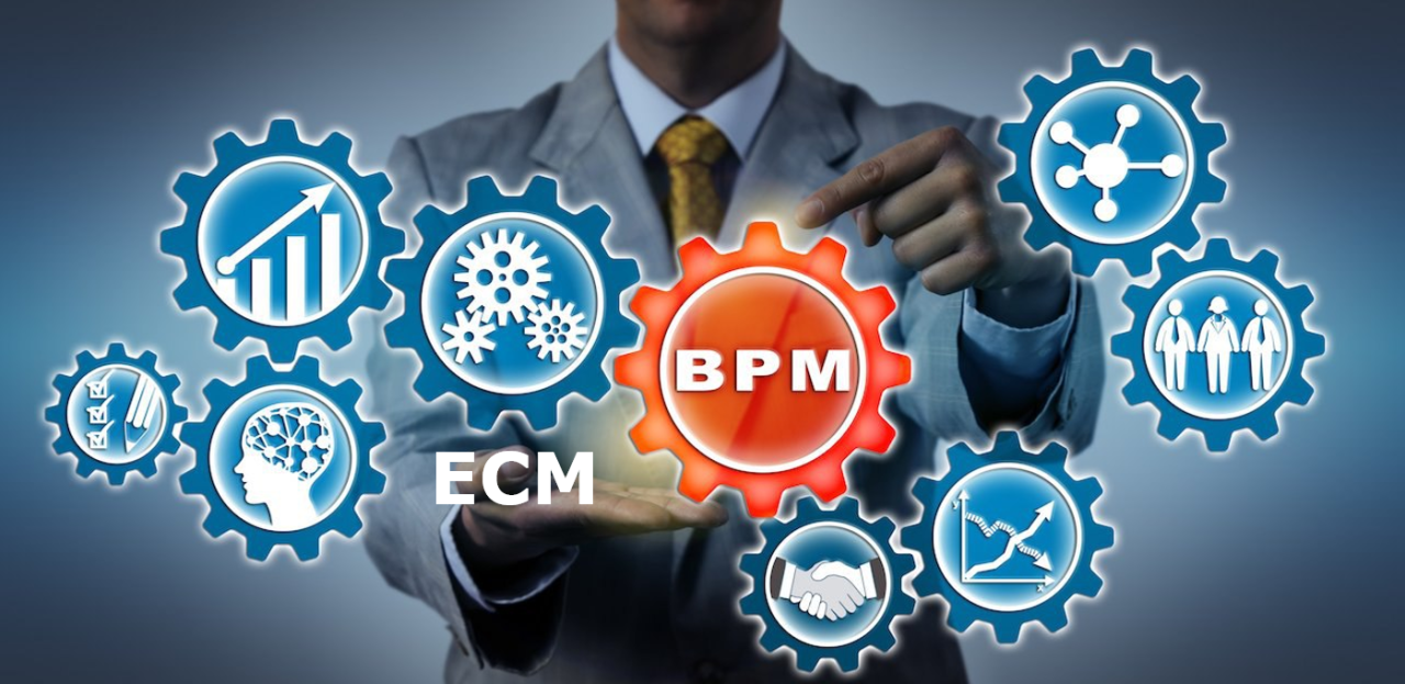 ECM & ERP Consulting