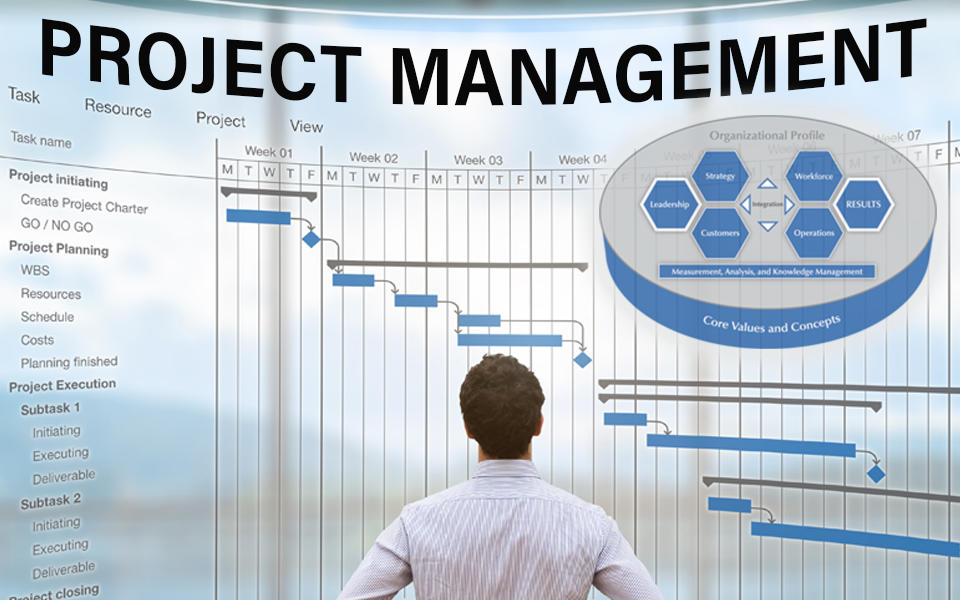 IT Project Management